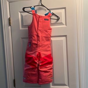3T Patagonia Snow/Ski Pants